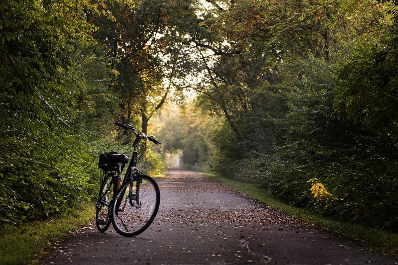 Forest Cycling