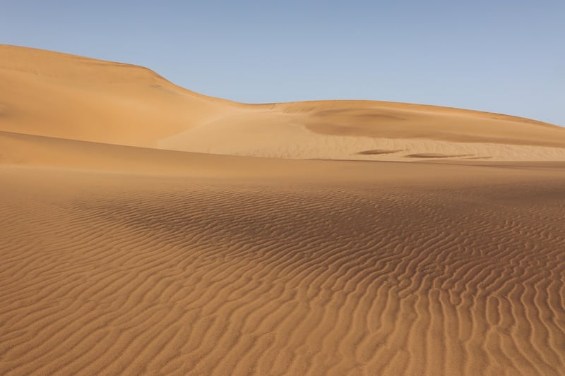 Desert Fitness